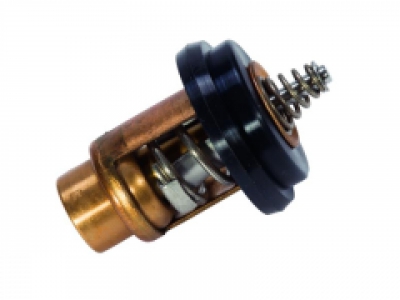 Genuine Quicksilver THERMOSTAT Mercury Mariner 2.5HP - 6HP 4 Stroke Outboard image