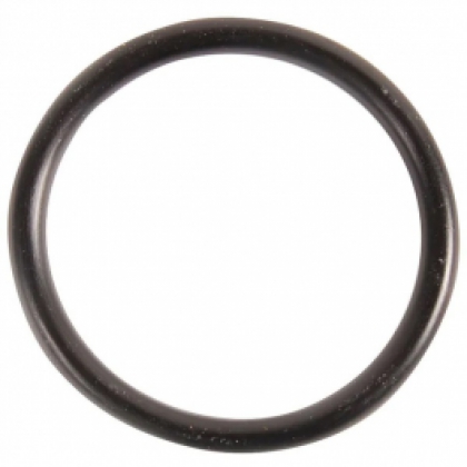 Genuine BRP Evinrude Johnson THERMOSTAT COVER O RING image