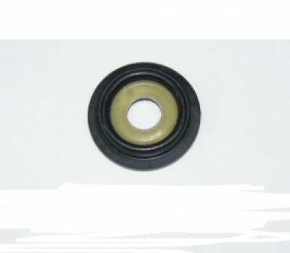 Genuine BRP Evinrude Johnson DIAPHRAGM & CUP image